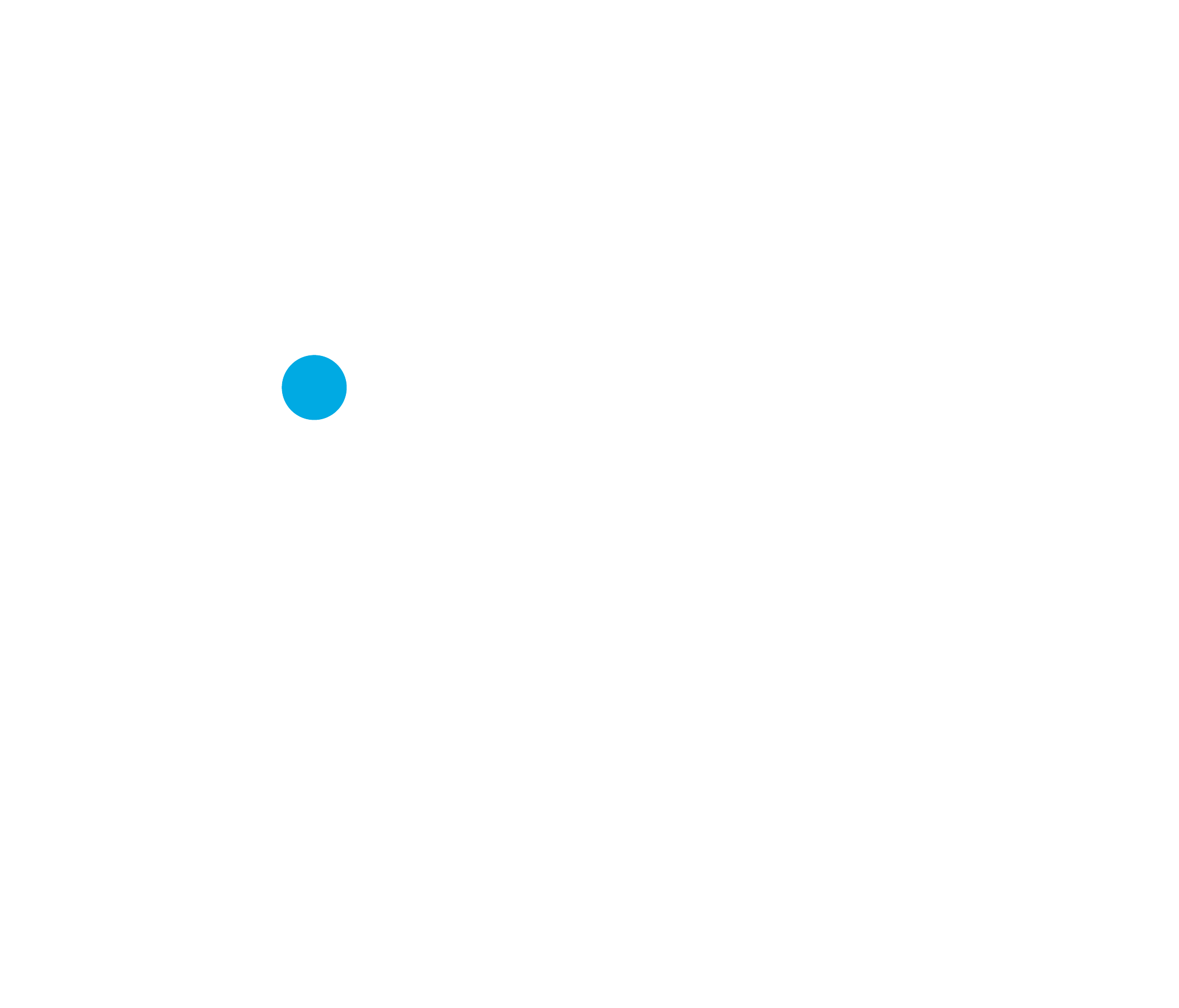 Blue Express